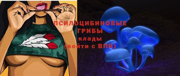 таблы Гусиноозёрск
