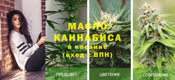 дживик Гусев