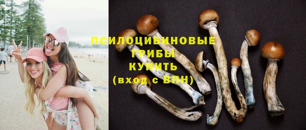 таблы Гусиноозёрск